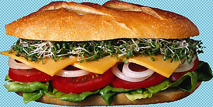 美味汉堡三明治免抠png透明图层素材
