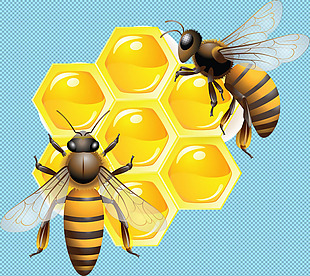 蜜蜂和蜂蜜免抠png透明图层素材