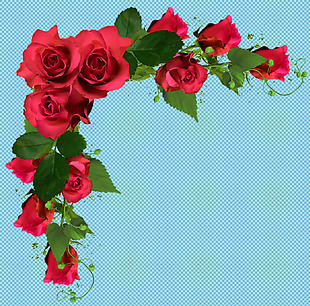 婚礼素材红玫瑰免抠png透明图层素材