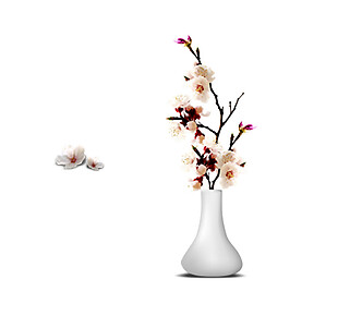 白色花瓶插花PNG元素