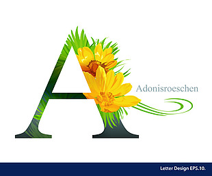热带菊花英文字母字体设计