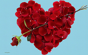 心形红玫瑰免抠png透明图层素材