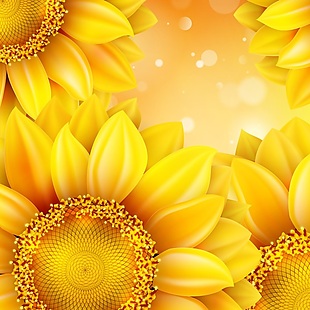 黄色渐变向日葵花朵金色背景纹理素材