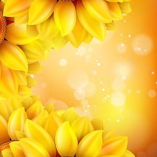 向日葵花花瓣金色背景纹理素材