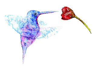 水彩画创意花与鸟矢量装饰图案