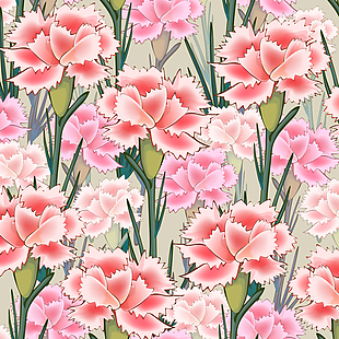 康乃馨花型背景图片
