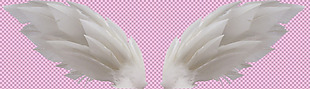 漂亮的白色翅膀免抠png透明图层素材