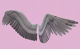 两个翅膀免抠png透明图层素材