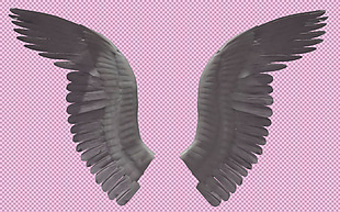 手绘漂亮翅膀免抠png透明图层素材