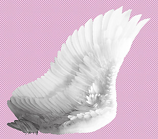 白色羽毛的翅膀免抠png透明图层素材
