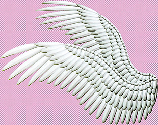 鸟类翅膀免抠png透明图层素材