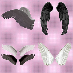 不同形状的翅膀免抠png透明图层素材