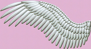手绘漂亮翅膀免抠png透明图层素材