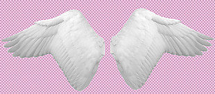 白色羽毛翅膀免抠png透明图层素材