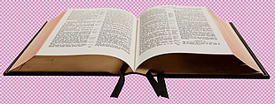 展开的圣经免抠png透明图层素材