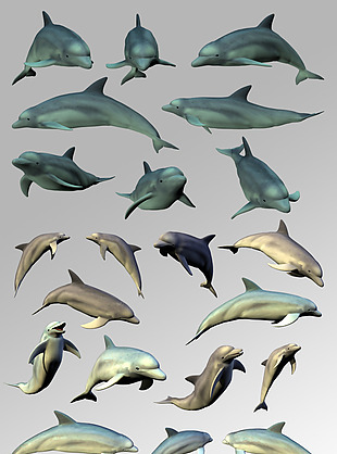 一组活泼可爱的海豚海洋生物元素素材