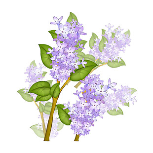 紫色紫荆花相框素材图片