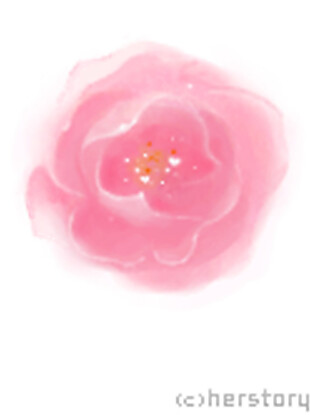 水彩粉色花朵相框素材图片