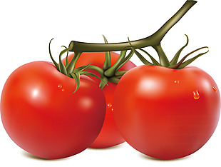 实物新鲜西红柿元素