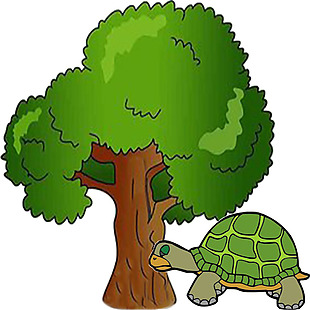 大树和乌龟