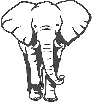 大象手绘插画