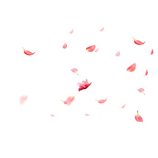 花瓣漂浮粉色装饰png元素素材