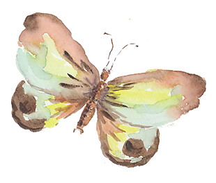 手绘水彩蝴蝶素材图片