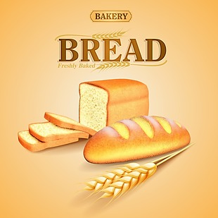 全麦面包广告矢量素材