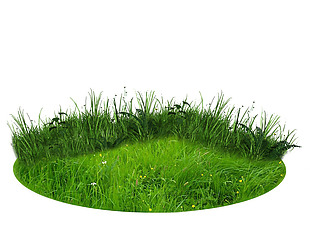 小清新绿色草坪元素