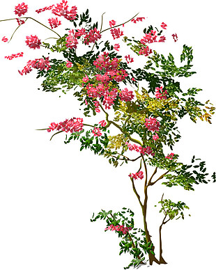 彩色花树PNG元素