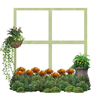 绿色盆栽窗户PNG元素