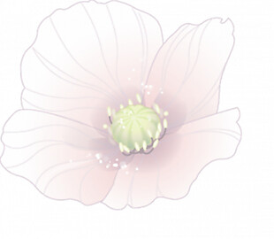 浅粉色抽象花朵PNG元素