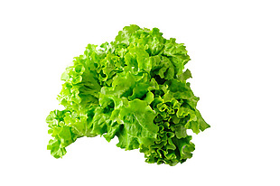绿色新鲜蔬菜元素