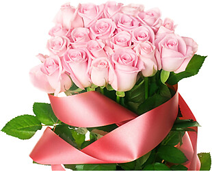 一束粉色玫瑰花丝带素材图片