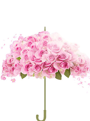 粉色玫瑰花素材图片