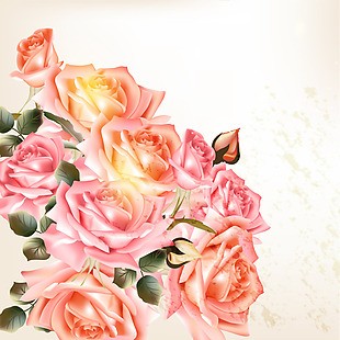 粉色玫瑰卡通矢量花朵背景素材