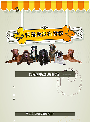 宠物店宣传海报图片