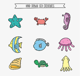 9款彩绘海洋动物矢量