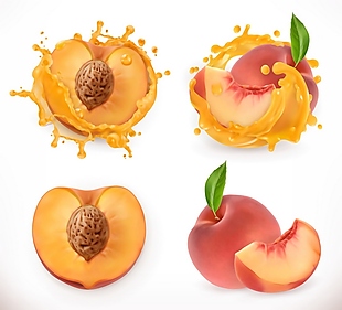 桃子水果矢量素材