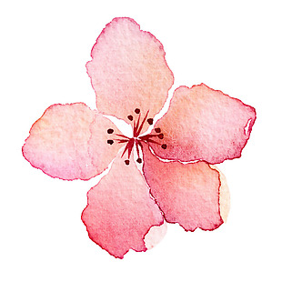粉色渐变花朵元素