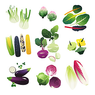 有机绿色蔬菜插画