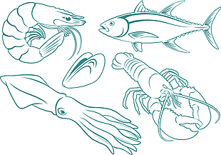 手绘线条各种海鲜食材插画
