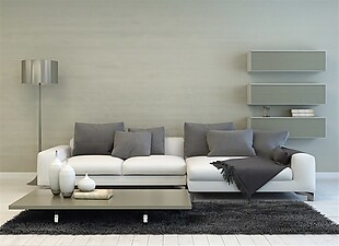 现代黑白客厅沙发套装效果图