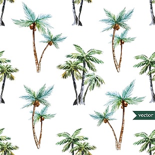 热带椰子树背景