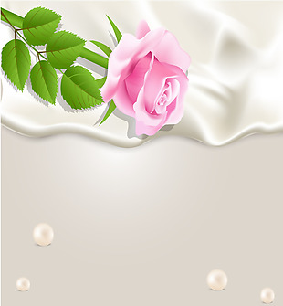 浪漫粉色玫瑰丝滑背景