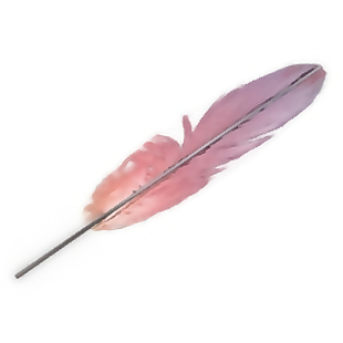 粉红色羽毛模型