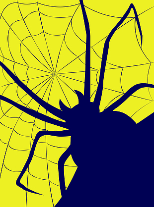 黄色蜘蛛网背景素材