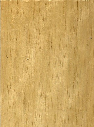 现代黄色天然木材质贴图