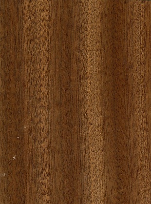 常用的木竖纹理榉木材质贴图