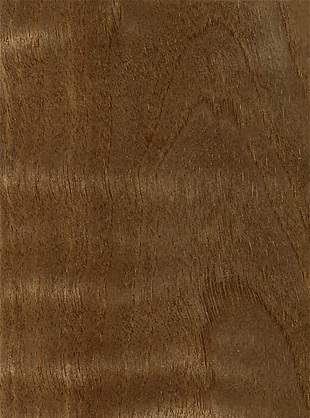 常用的棕色装饰木板贴图
